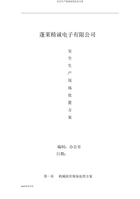 安全生产现场处置方案