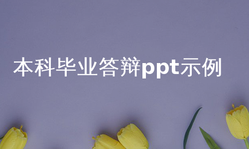 本科毕业答辩ppt示例