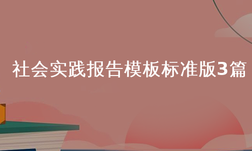 社会实践报告模板标准版3篇