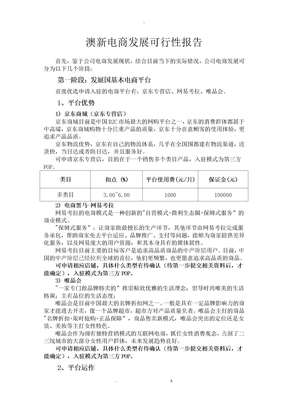 电商发展可行性报告