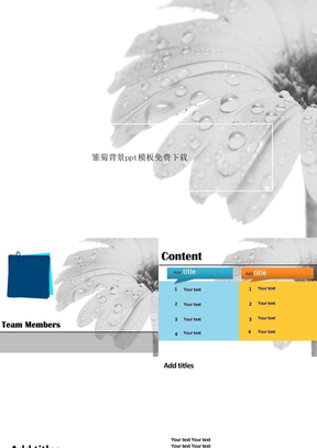 雏菊背景ppt模板免费下载
