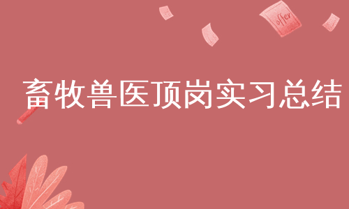 畜牧兽医顶岗实习总结