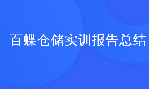 百蝶仓储实训报告总结