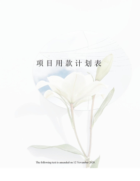 项目用款计划表