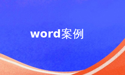 word案例