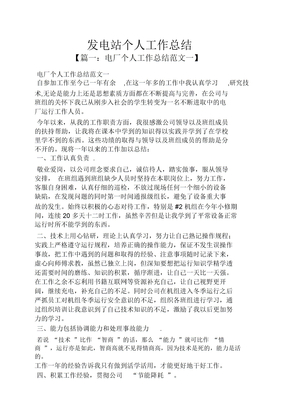 发电站个人工作总结