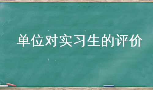 单位对实习生的评价