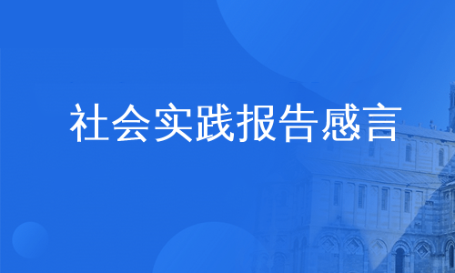 社会实践报告感言