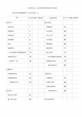 社会团体财务报表