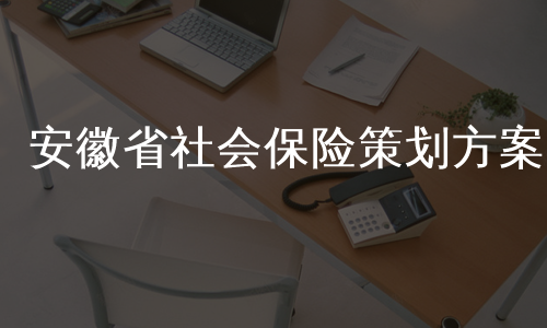 安徽省社会保险策划方案