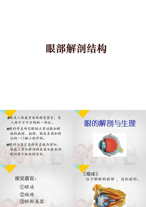 眼部解剖结构