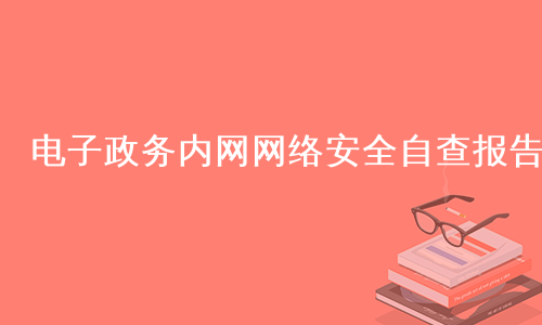 电子政务内网网络安全自查报告