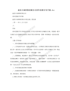 盘县立业担保有限公司青年思想引导手册.doc