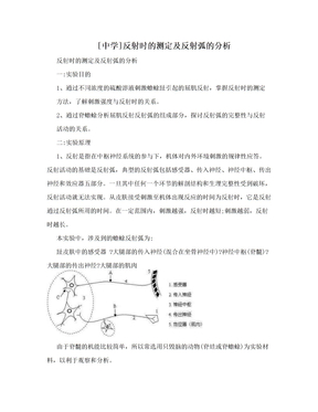 [中学]反射时的测定及反射弧的分析