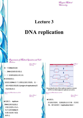 第三讲 DNA复制与损伤与修复