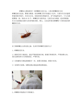 蟑螂怎么彻底消灭？灭蟑螂的方法汇总,上海灭蟑螂的好方法