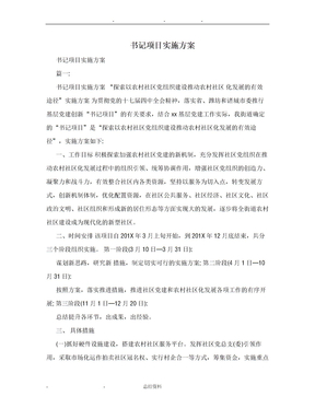 书记项目实施方案