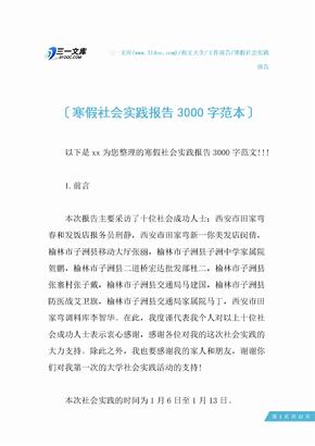 寒假社会实践报告3000字范本