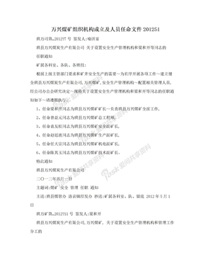 万兴煤矿组织机构成立及人员任命文件201251