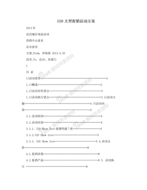 520大型促销活动方案