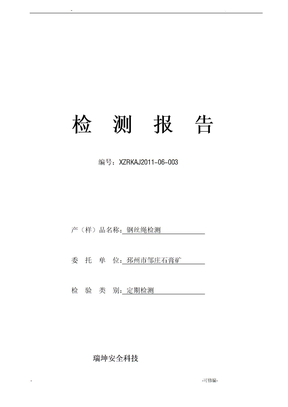 钢丝绳检测报告