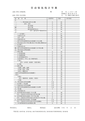劳动情况年报表