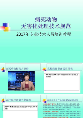 病死动物无害化处理规程培训