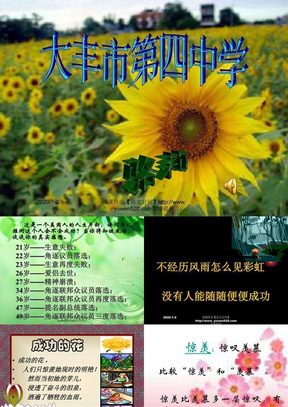 冰心诗四首《成功的花》《嫩绿的芽儿》ppt课件