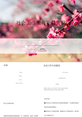 社会工作服务项目评估