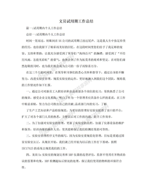 文员试用期工作总结