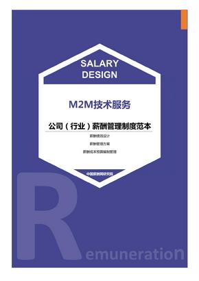 M2M技术服务公司（行业）薪酬管理制度范本-薪酬设计方案资料文集系列