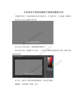 中英双语字幕使用教程字幕使用教程介绍