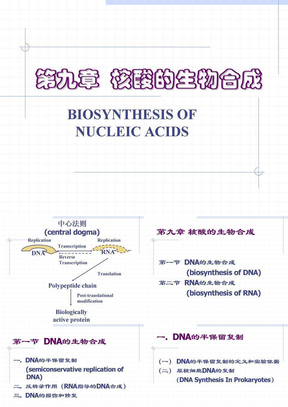 核酸的生物合成