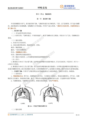 呼吸系统13