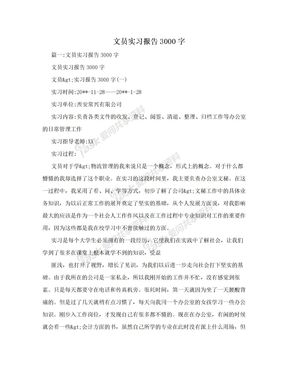 文员实习报告3000字