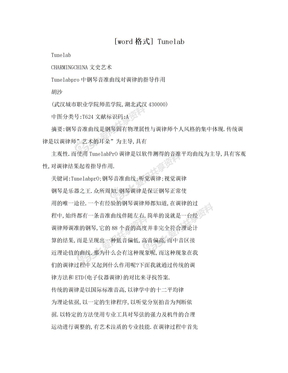 [word格式] Tunelab