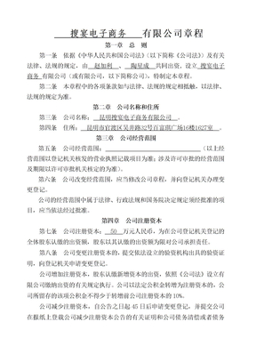 电子商务公司章程