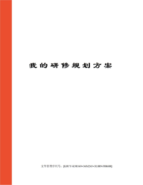 我的研修规划方案