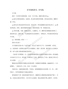 小乌龟吃什么 小乌龟