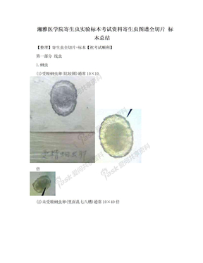 湘雅医学院寄生虫实验标本考试资料寄生虫图谱全切片 标本总结
