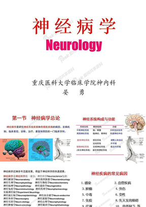 01神经系统定位诊断1