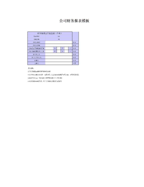 公司财务报表模板