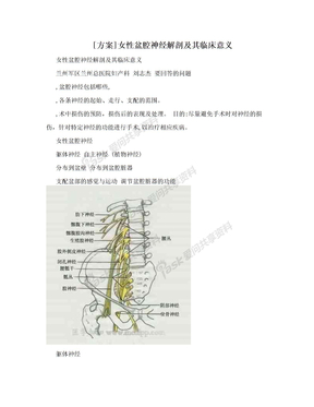 [方案]女性盆腔神经解剖及其临床意义