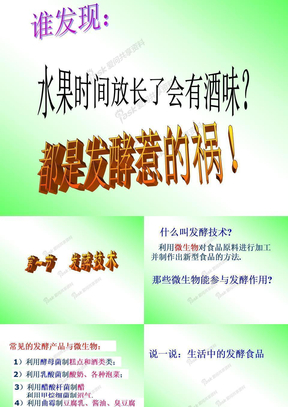 正式发酵技术