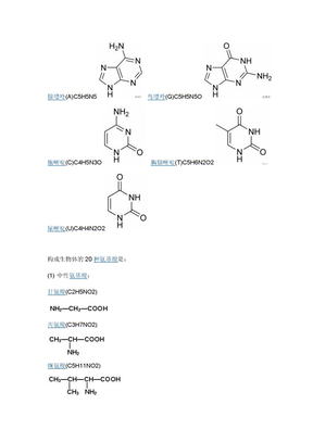 DNA碱基 氨基酸化学式