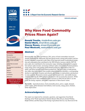 Why Have Food Commodity Prices Risen Again  WRS1103