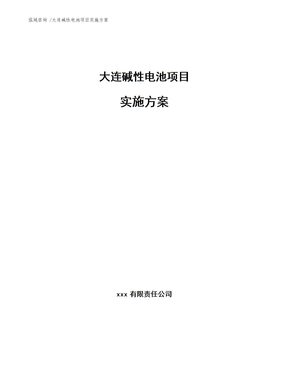 大连碱性电池项目实施方案范文模板