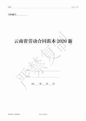 云南省劳动合同范本2020新-(优质文档)