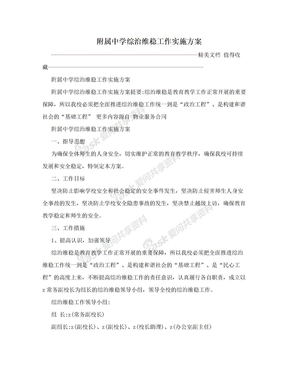 附属中学综治维稳工作实施方案