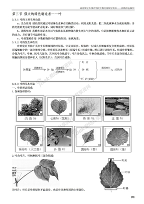 第五章 植物的营养器官——叶